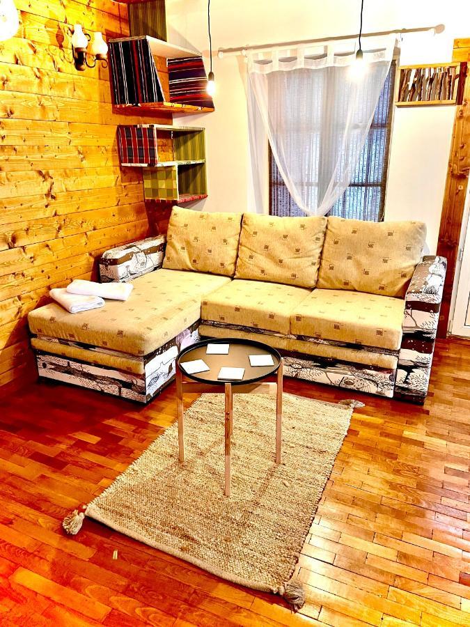 브라쇼브 Apartament Rustic In Centrul Istoric 아파트 외부 사진